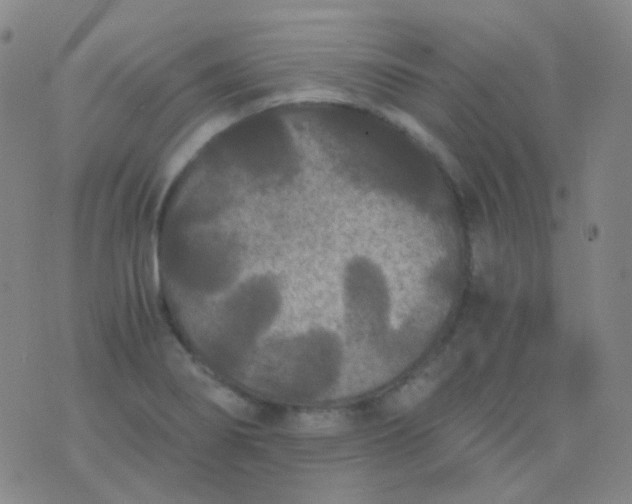 X0000076451274200610202326