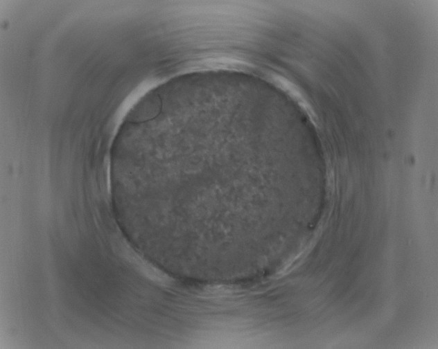 X0000076451275200610202326