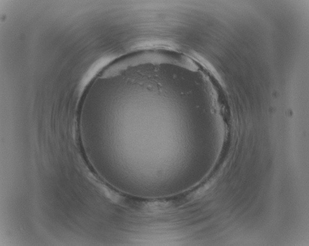 X0000076451277200610202326