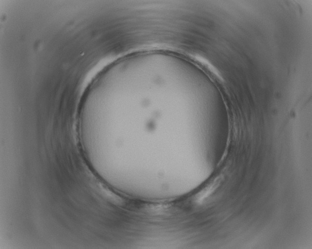 X0000076451278200610202326