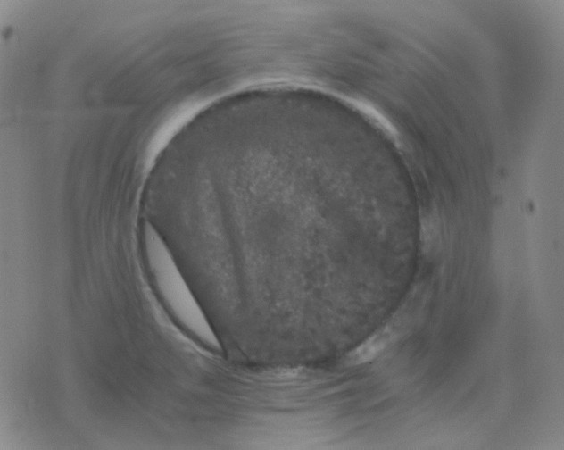 X0000076451279200610202326