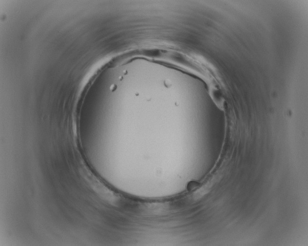 X0000076451280200610202326