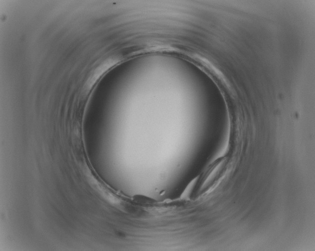 X0000076451281200610202326