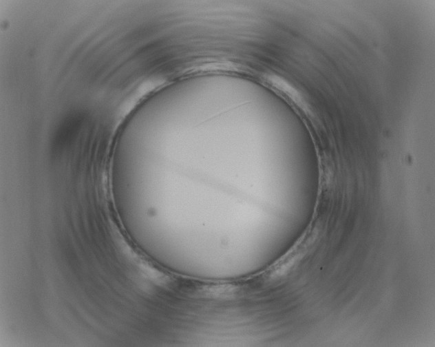 X0000076451282200610202325