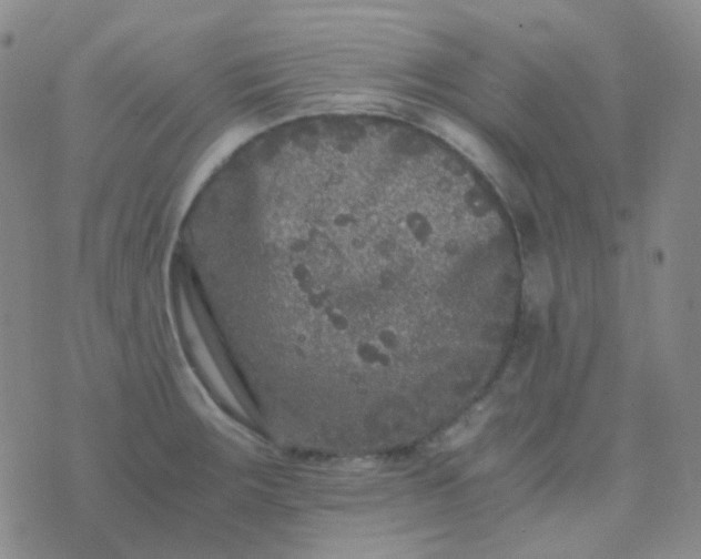 X0000076451283200610202325