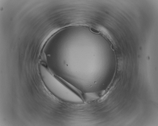 X0000076451284200610202325