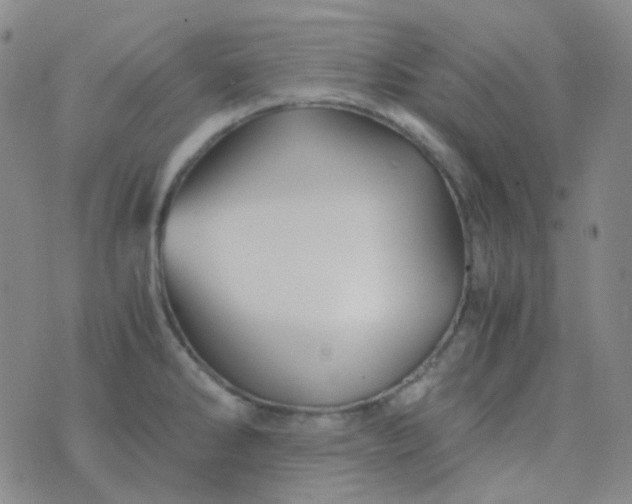 X0000076451286200610202325