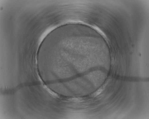 X0000076451287200610202325