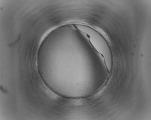 X0000076451288200610202325