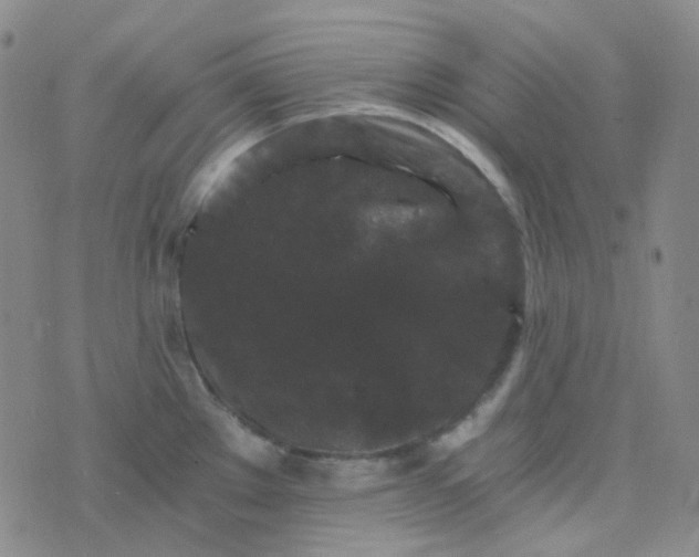 X0000076451289200610202325