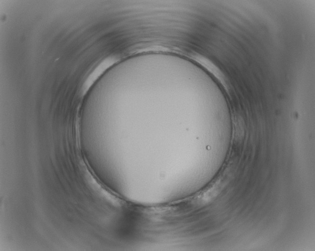 X0000076451290200610202325