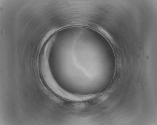 X0000076451291200610202325