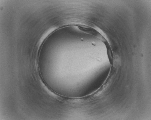 X0000076451293200610202325