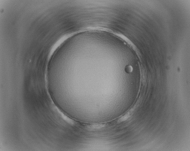 X0000076451294200610202325