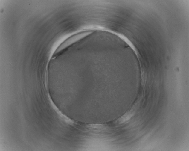 X0000076451295200610202325