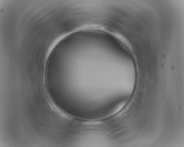 X0000076451296200610202325