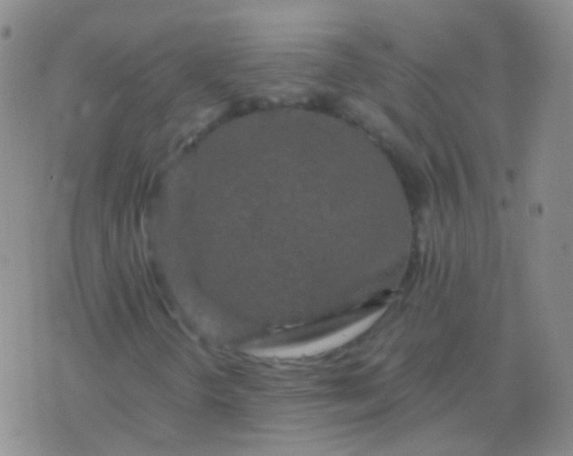 X0000076451298200610202325