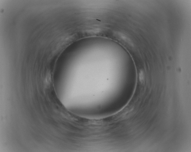 X0000076451299200610202325