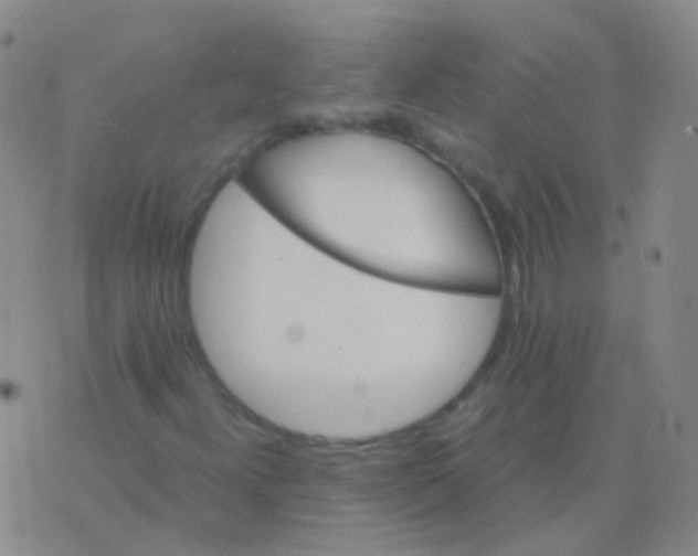 X0000076451300200610202325