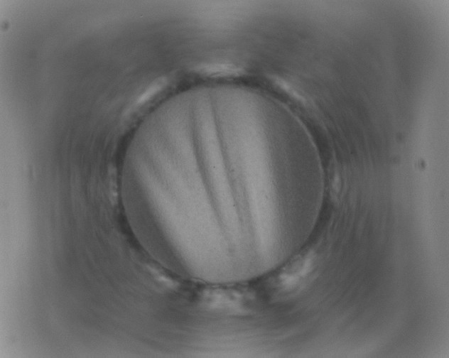 X0000076451301200610202325