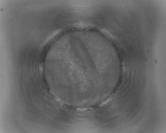 X0000076451302200610202325