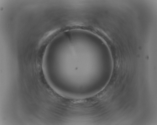 X0000076451303200610202325