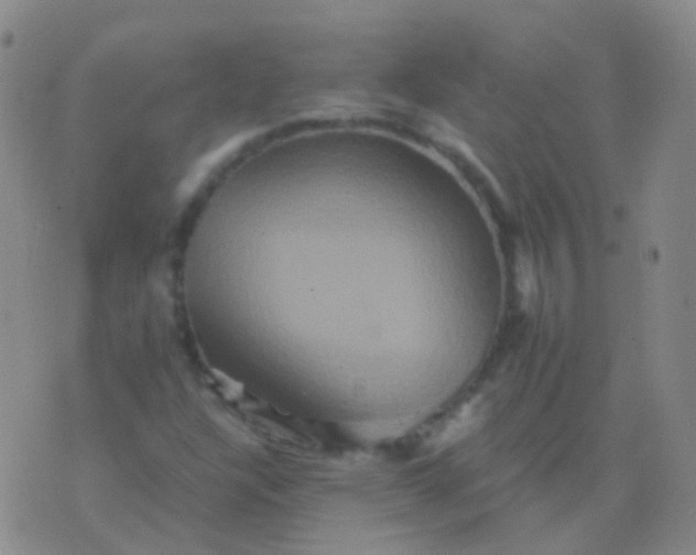 X0000076451304200610202325