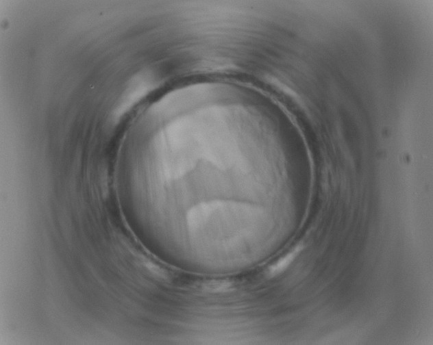 X0000076451306200610202325