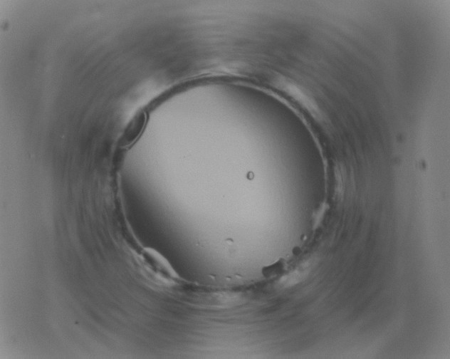 X0000076451308200610202325