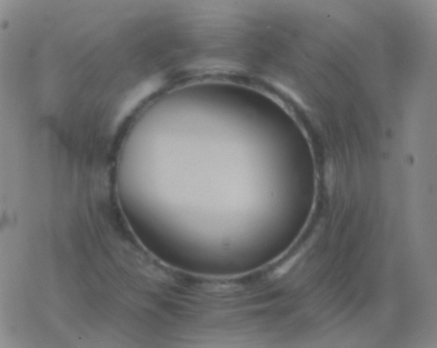 X0000076451309200610202325