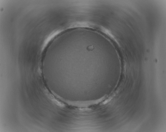 X0000076451312200610202325