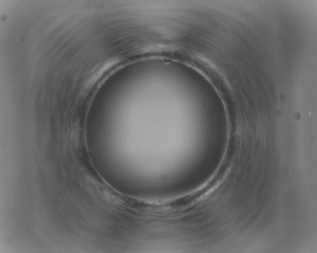 X0000076451313200610202325