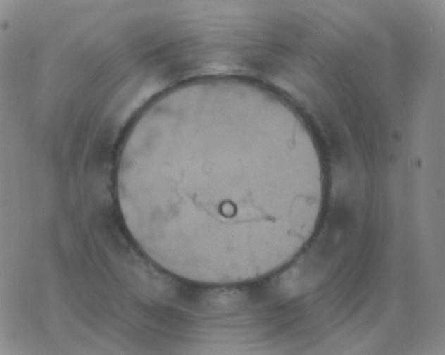 X0000076451314200610202325