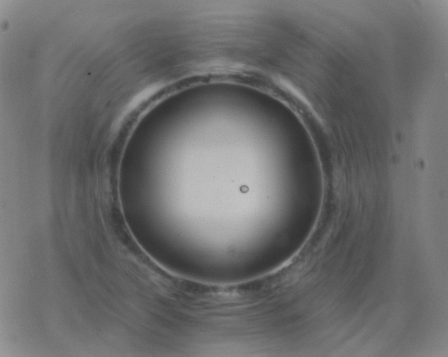 X0000076451315200610202325