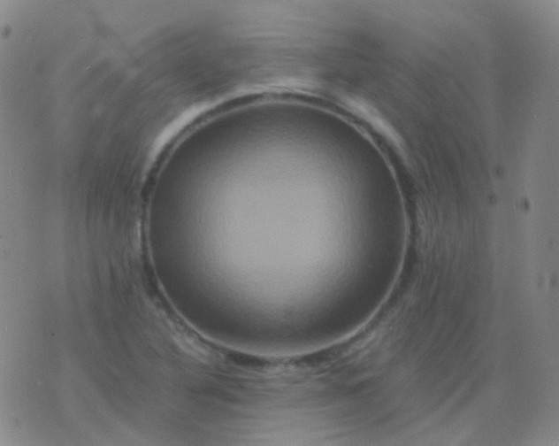 X0000076451316200610202325