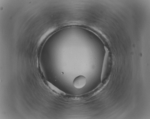 X0000076451317200610202325