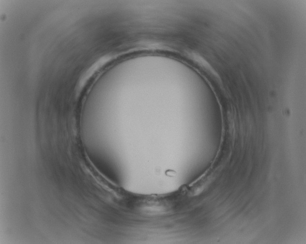 X0000076451318200610202325