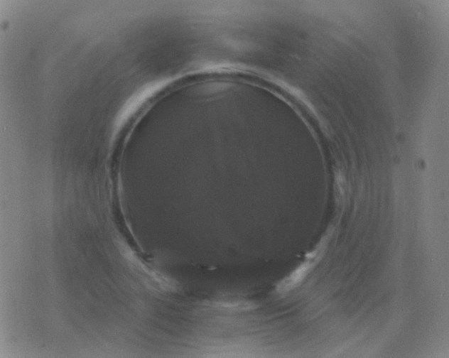 X0000076451319200610202325