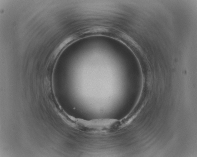 X0000076451321200610202325