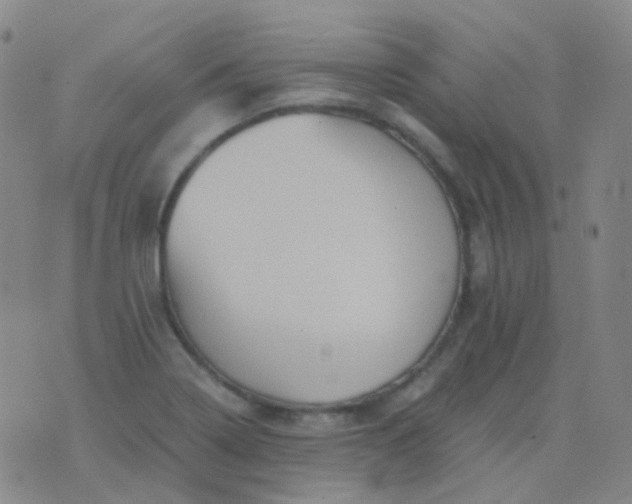 X0000076451322200610202325