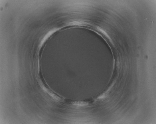 X0000076451323200610202325