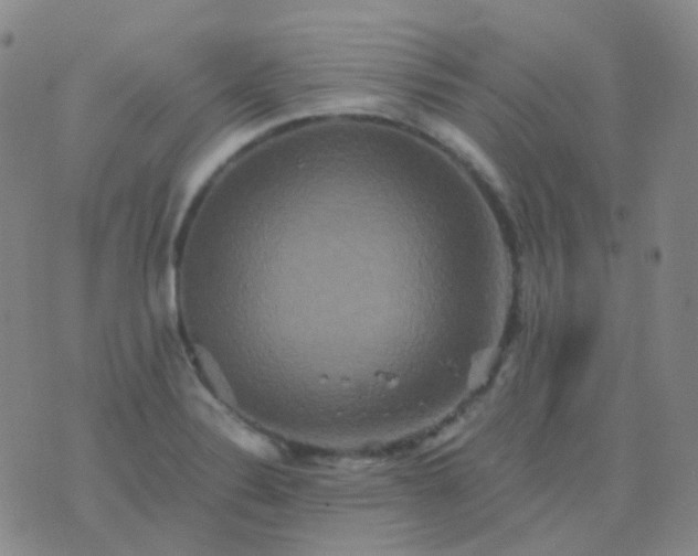 X0000076451324200610202325