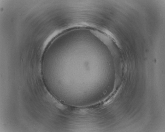 X0000076451326200610202325