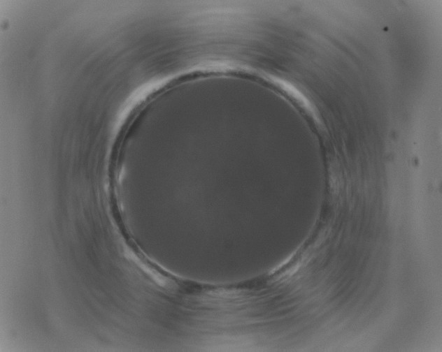 X0000076451327200610202325