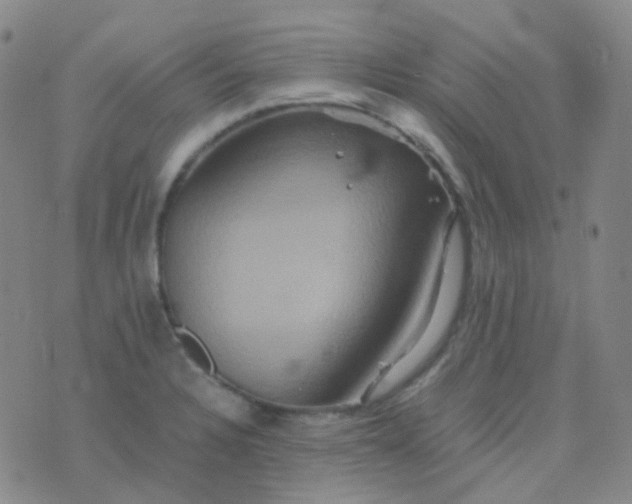 X0000076451328200610202325