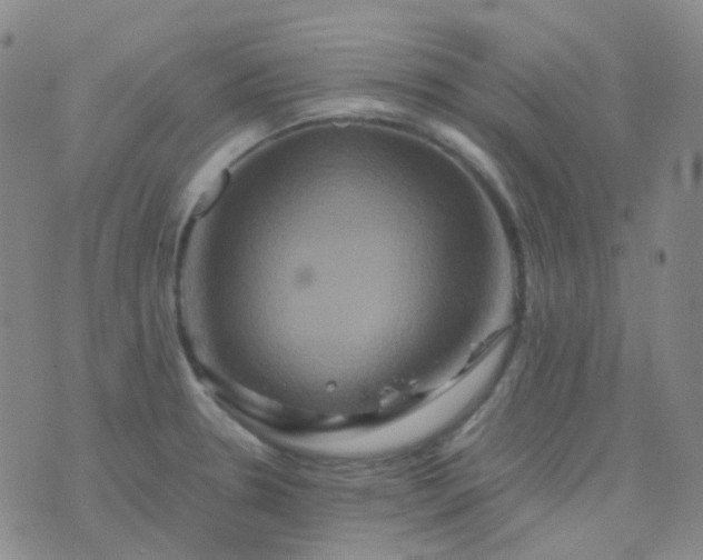 X0000076451330200610202325