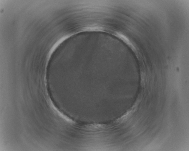 X0000076451331200610202325