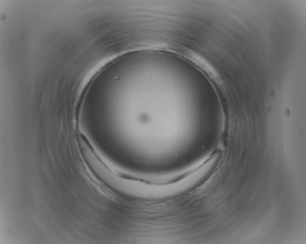 X0000076451332200610202325