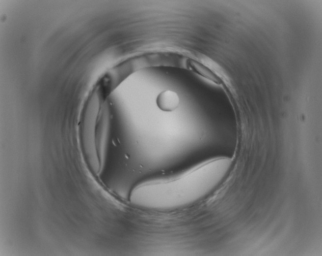 X0000076451334200610202325