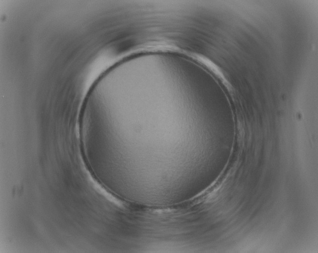 X0000076451335200610202325